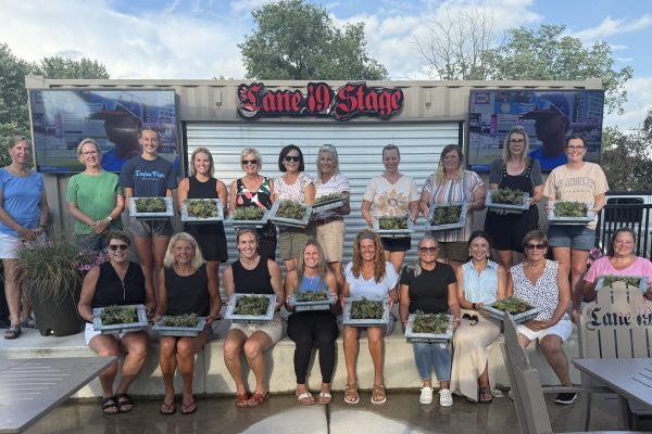 Lane 19 Patio Workshops